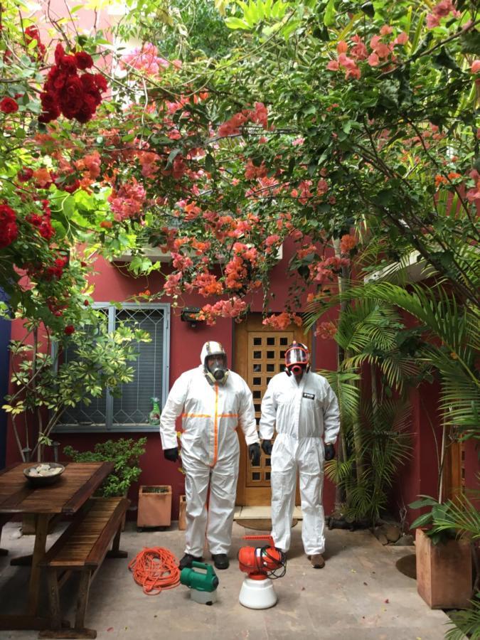 Figuras House Luxury Villa Faro Dış mekan fotoğraf